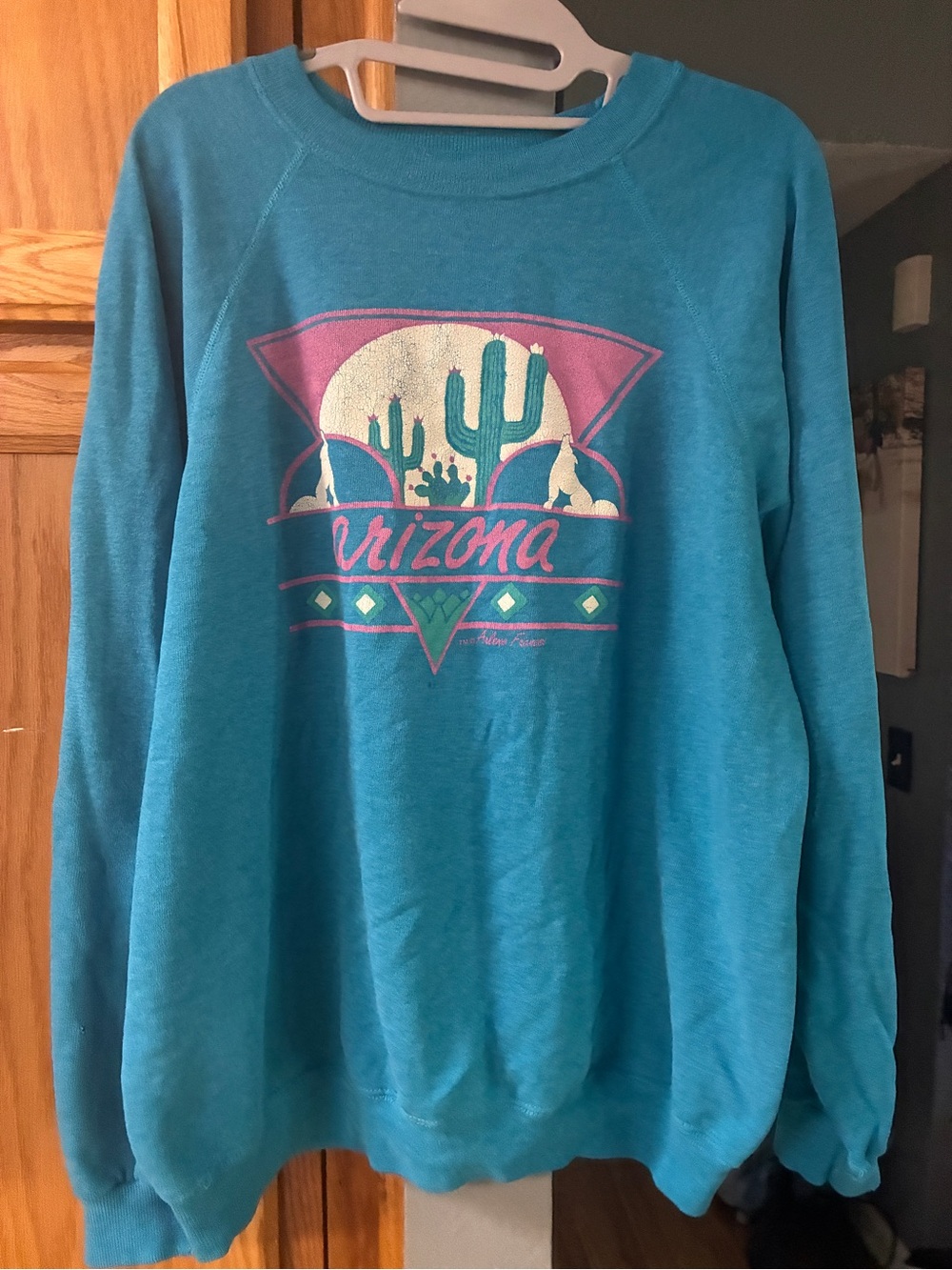 Vintage 80s Hanes Arizona Cactus Sweatshirt Distressed Teal XL